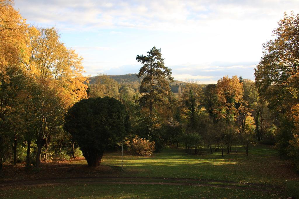 Villa Du Chatelet Choisy-au-Bac Δωμάτιο φωτογραφία